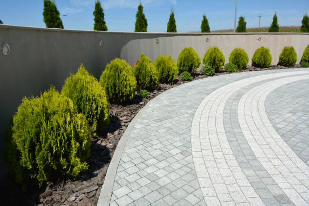 Best Local Driveway Pavers  in Mechanicsville, VA